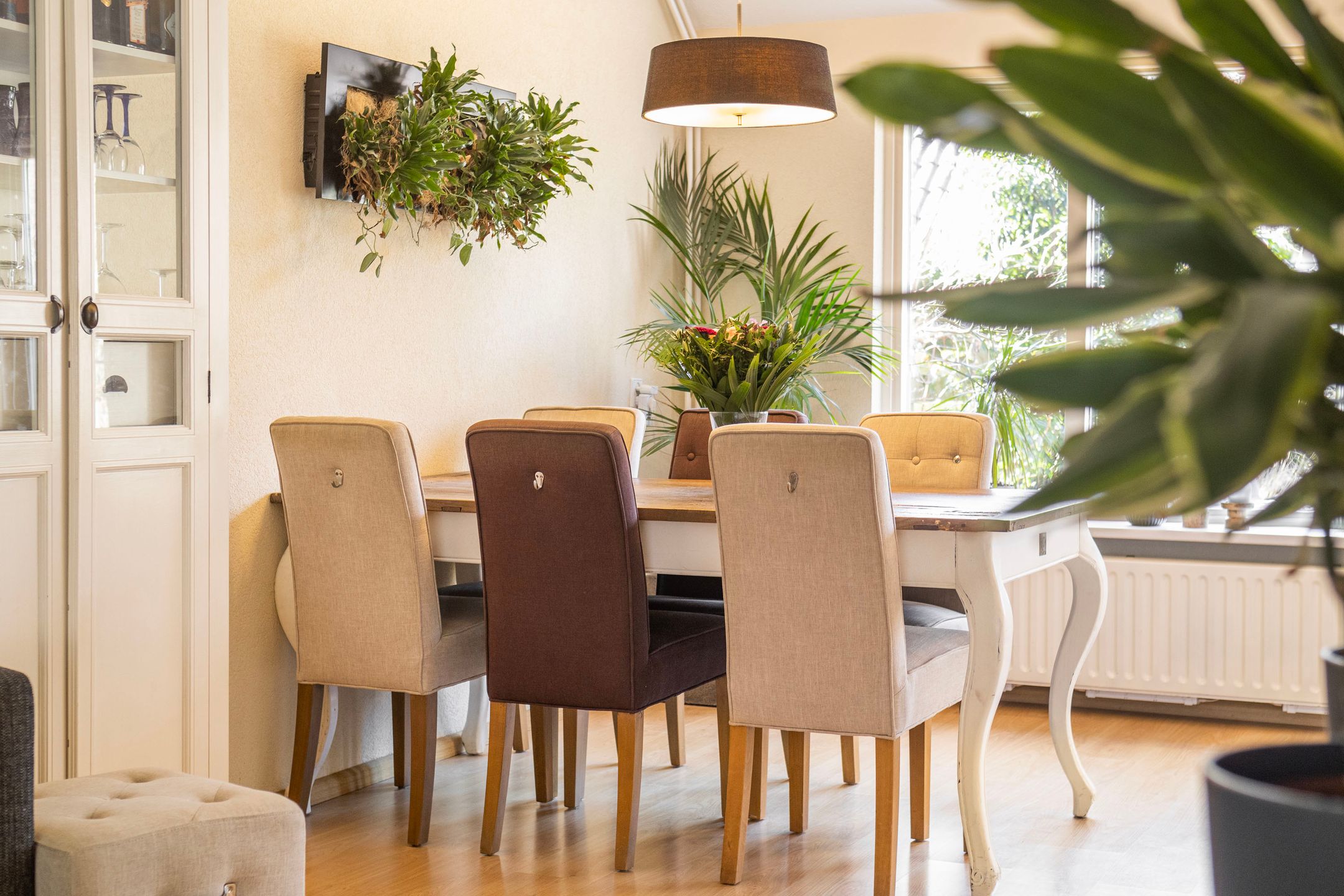 Foto 9 van Kruiser 8