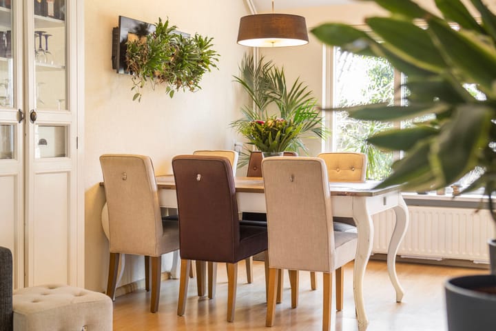 Foto 9 van Kruiser 8