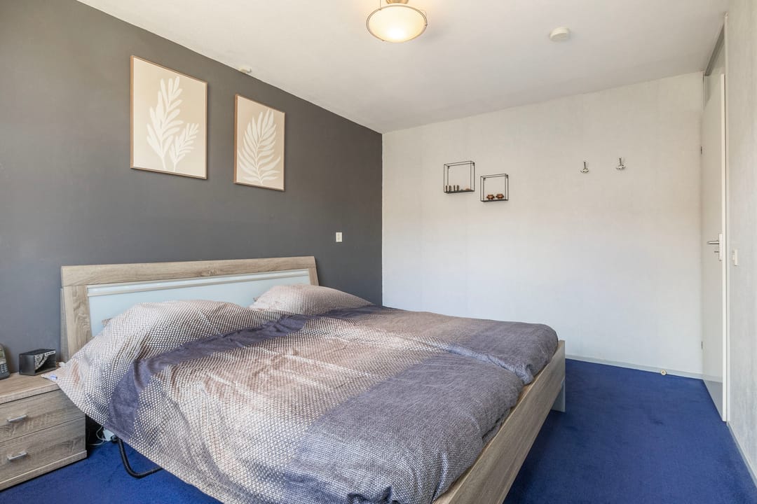 Foto 17 van Kruiser 8