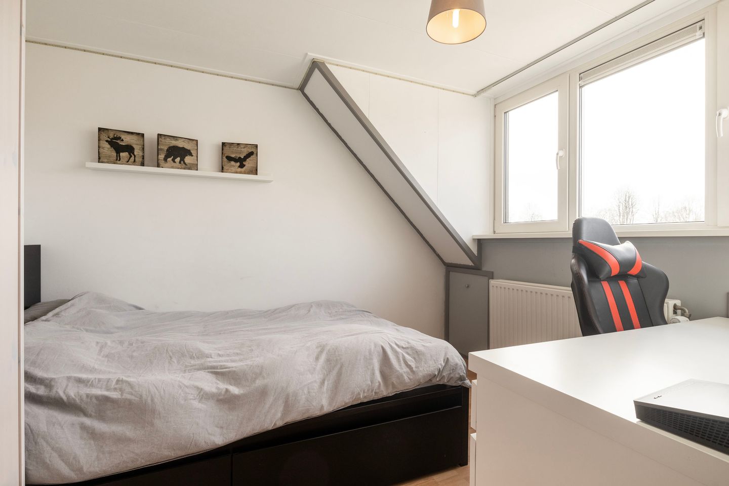 Foto 25 van Kruiser 8