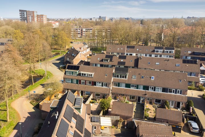 Foto 36 van Kruiser 8