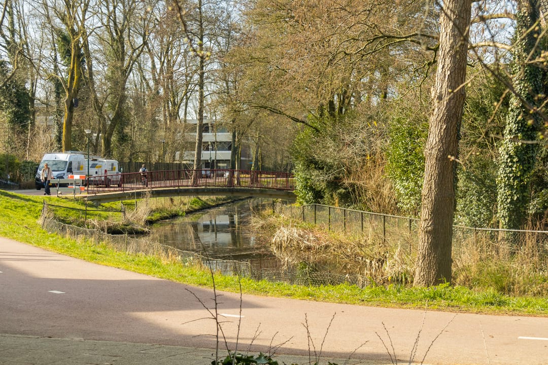 Foto 37 van Kruiser 8