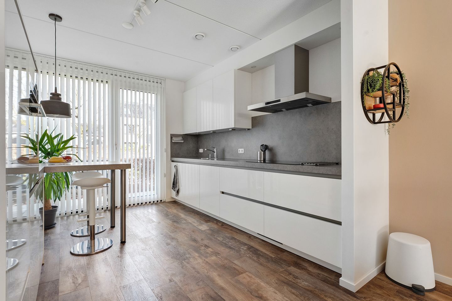 Foto 10 van Knotwilg 11