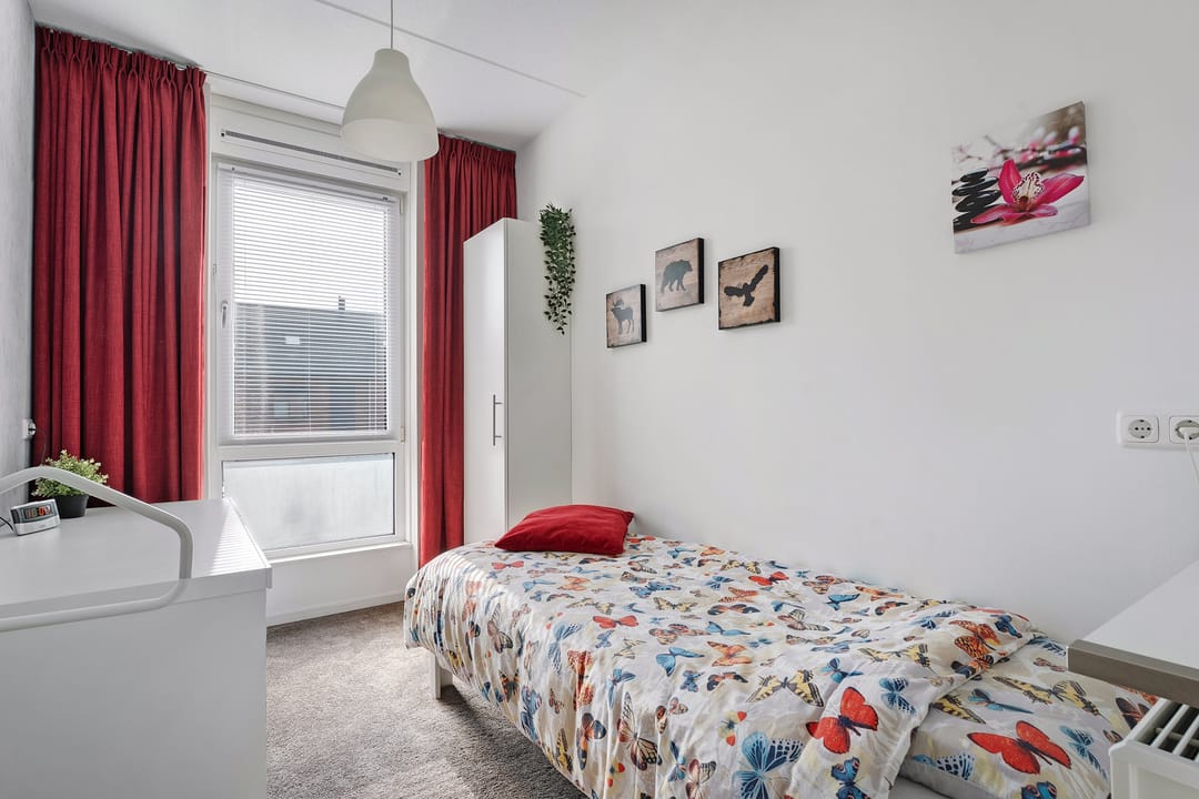 Foto 23 van Knotwilg 11