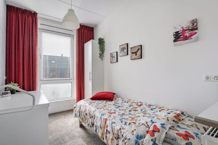 Foto 23 van Knotwilg 11