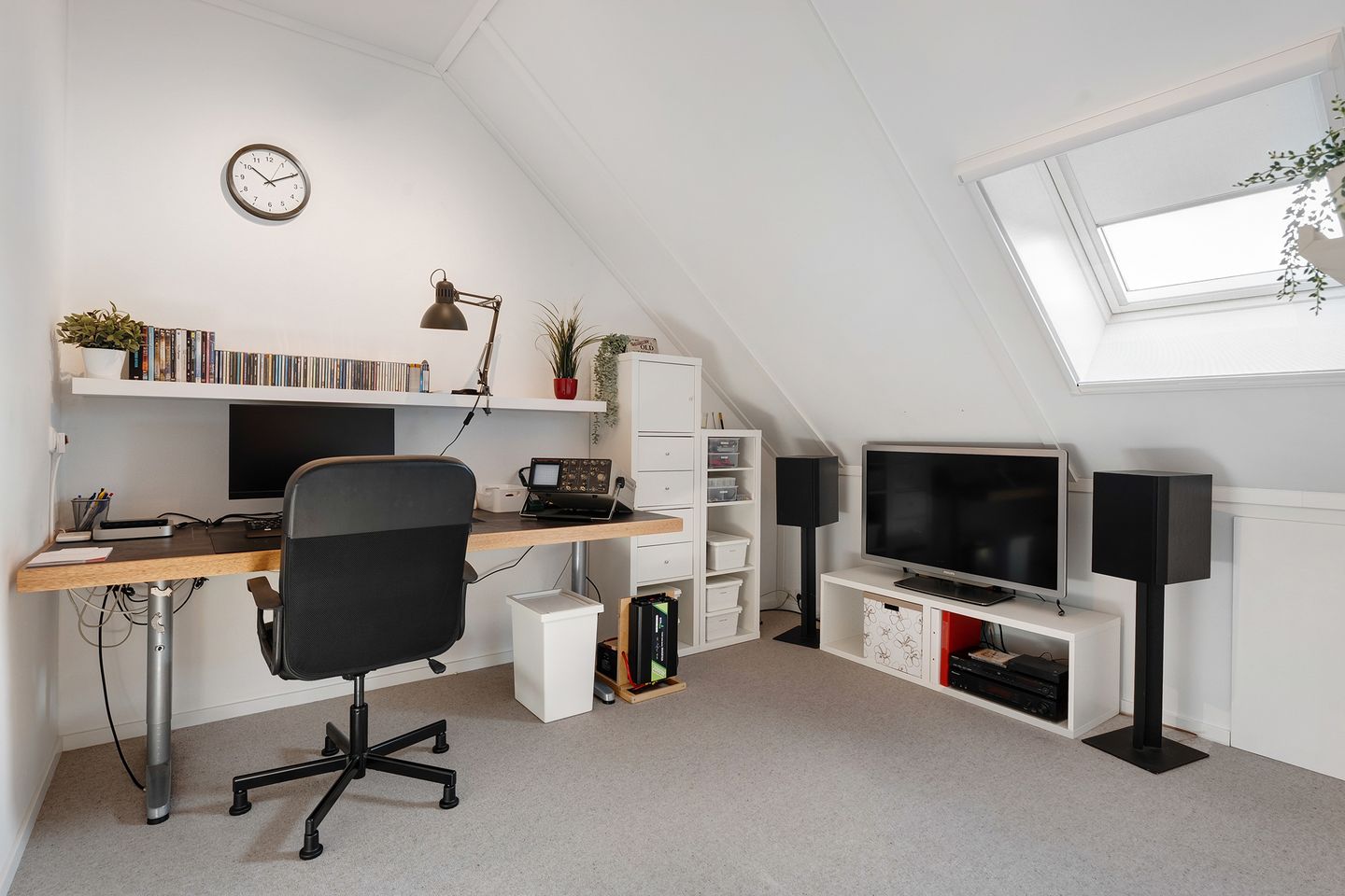 Foto 34 van Knotwilg 11