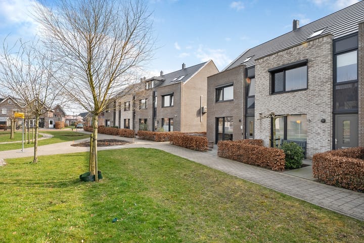 Foto 43 van Knotwilg 11