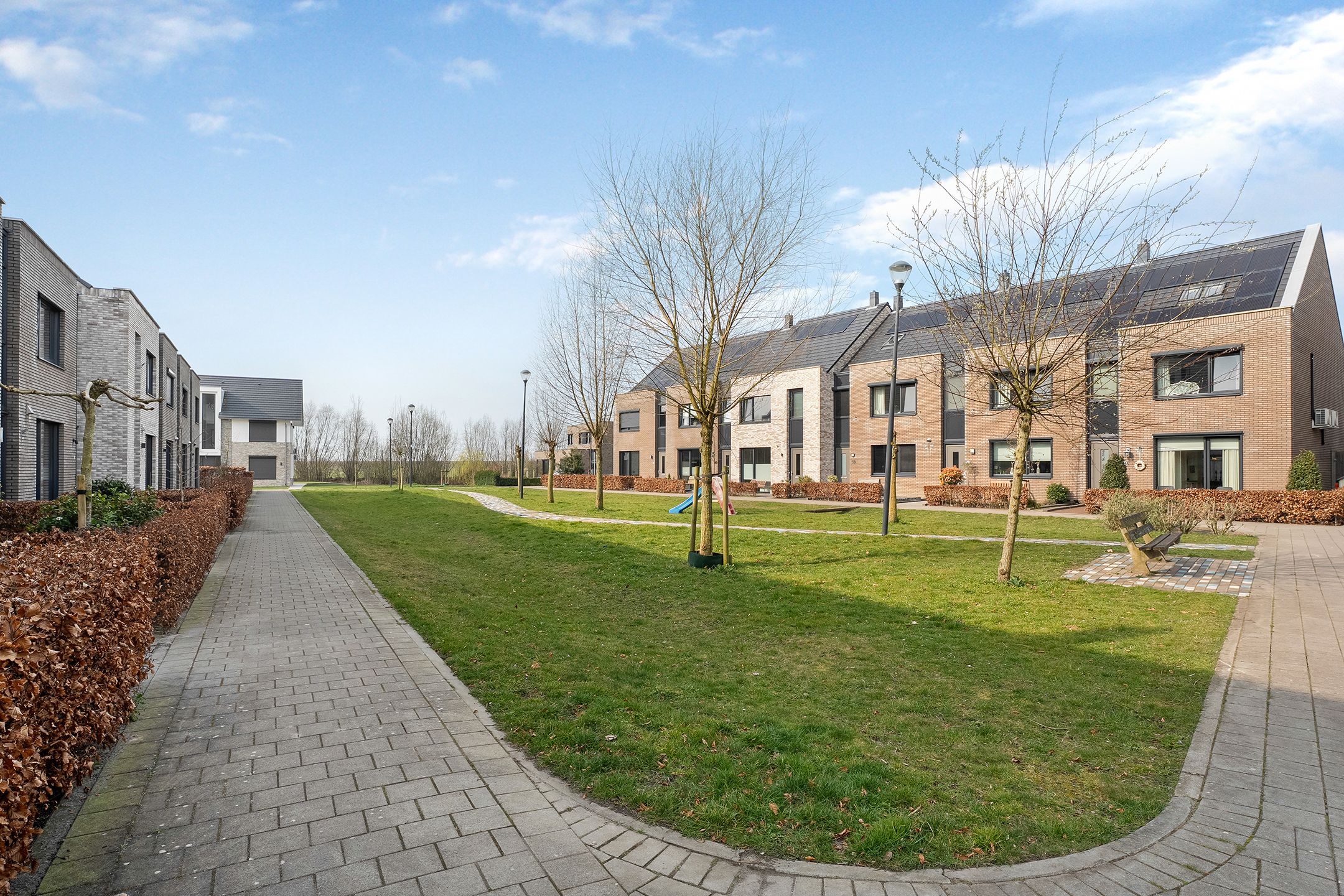 Foto 45 van Knotwilg 11