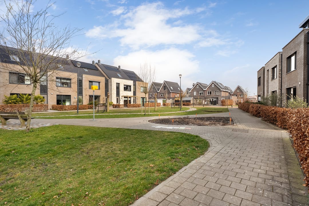 Foto 46 van Knotwilg 11