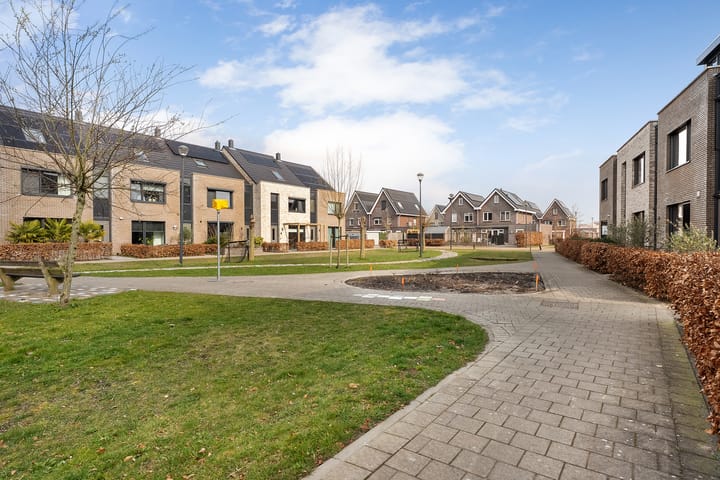 Foto 46 van Knotwilg 11