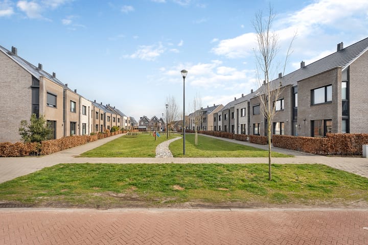 Foto 47 van Knotwilg 11