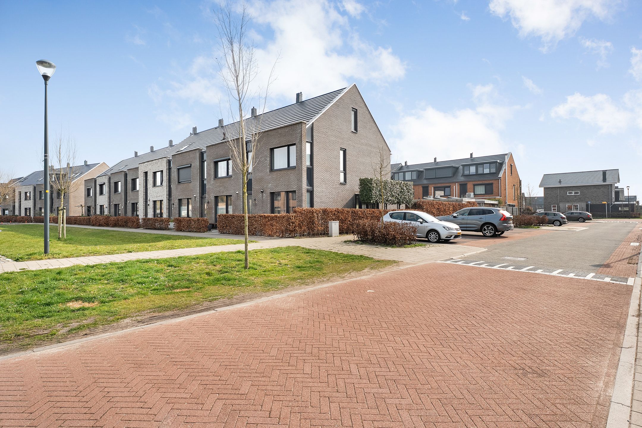 Foto 48 van Knotwilg 11