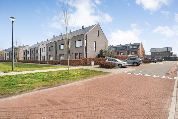 Foto 48 van Knotwilg 11