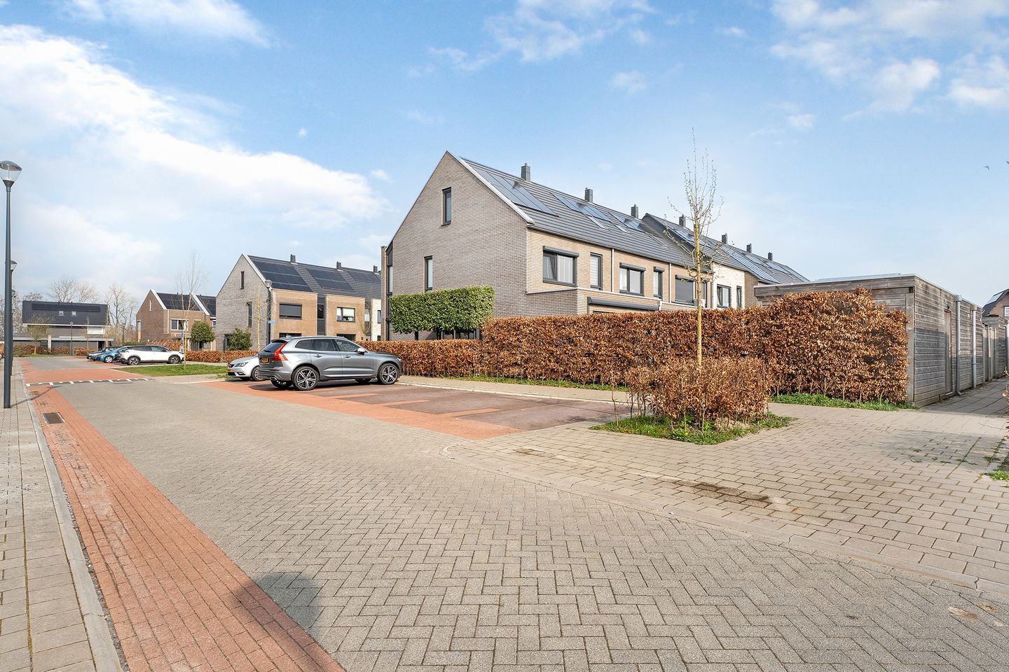 Foto 49 van Knotwilg 11