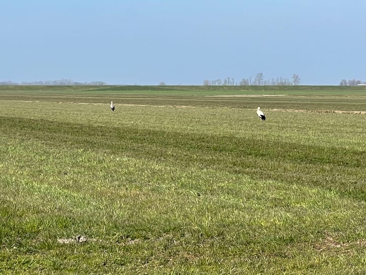 Foto 30 van Oostermaat 49