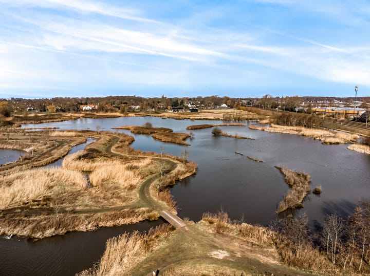 Foto 37 van Martinus Houttuynhof 81