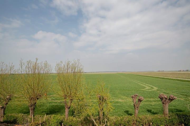 Foto 6 van Egbert Petruspolderweg 2