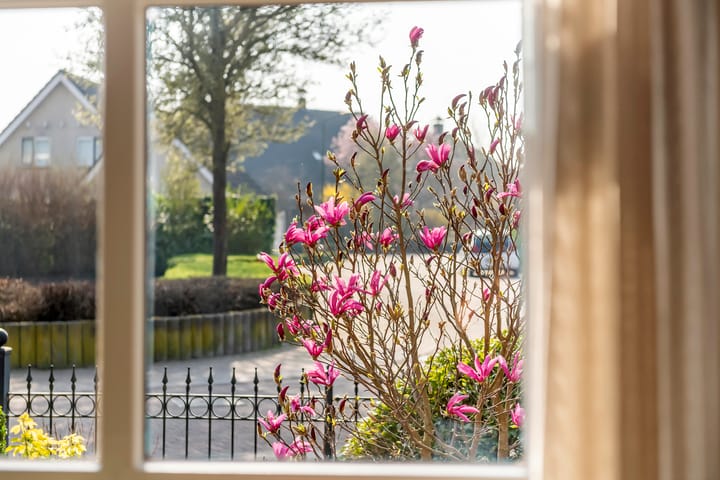 Foto 14 van De Riegert 7