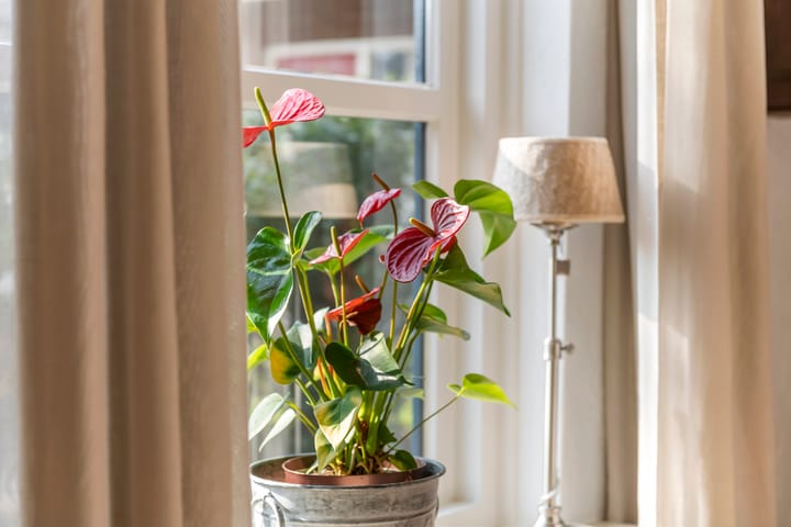 Foto 15 van De Riegert 7