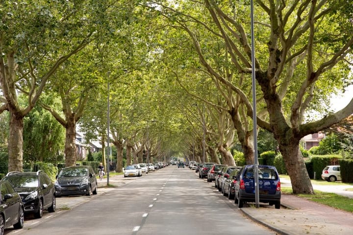 Foto 42 van Molenlaan 29