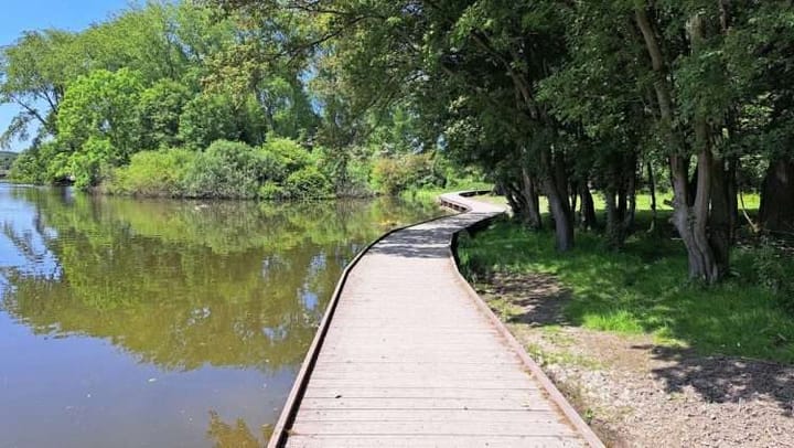 Foto 43 van Molenlaan 29