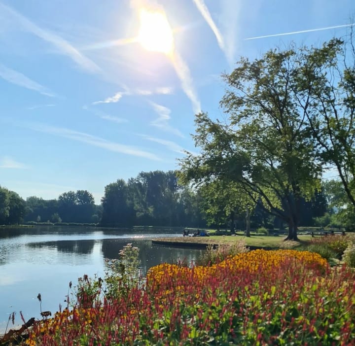 Foto 45 van Molenlaan 29