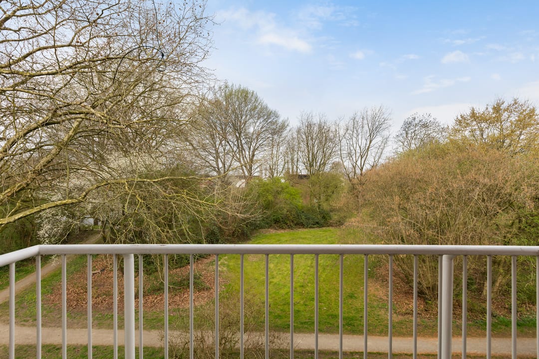 Foto 37 van Pasqualinilaan 22