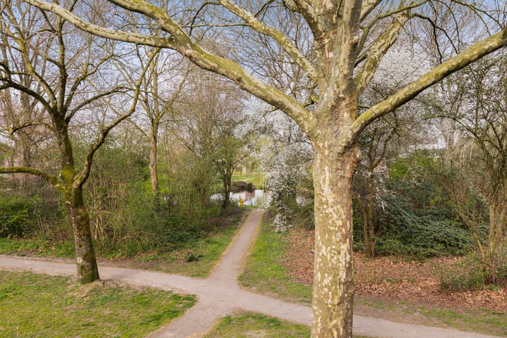 Foto 44 van Pasqualinilaan 22