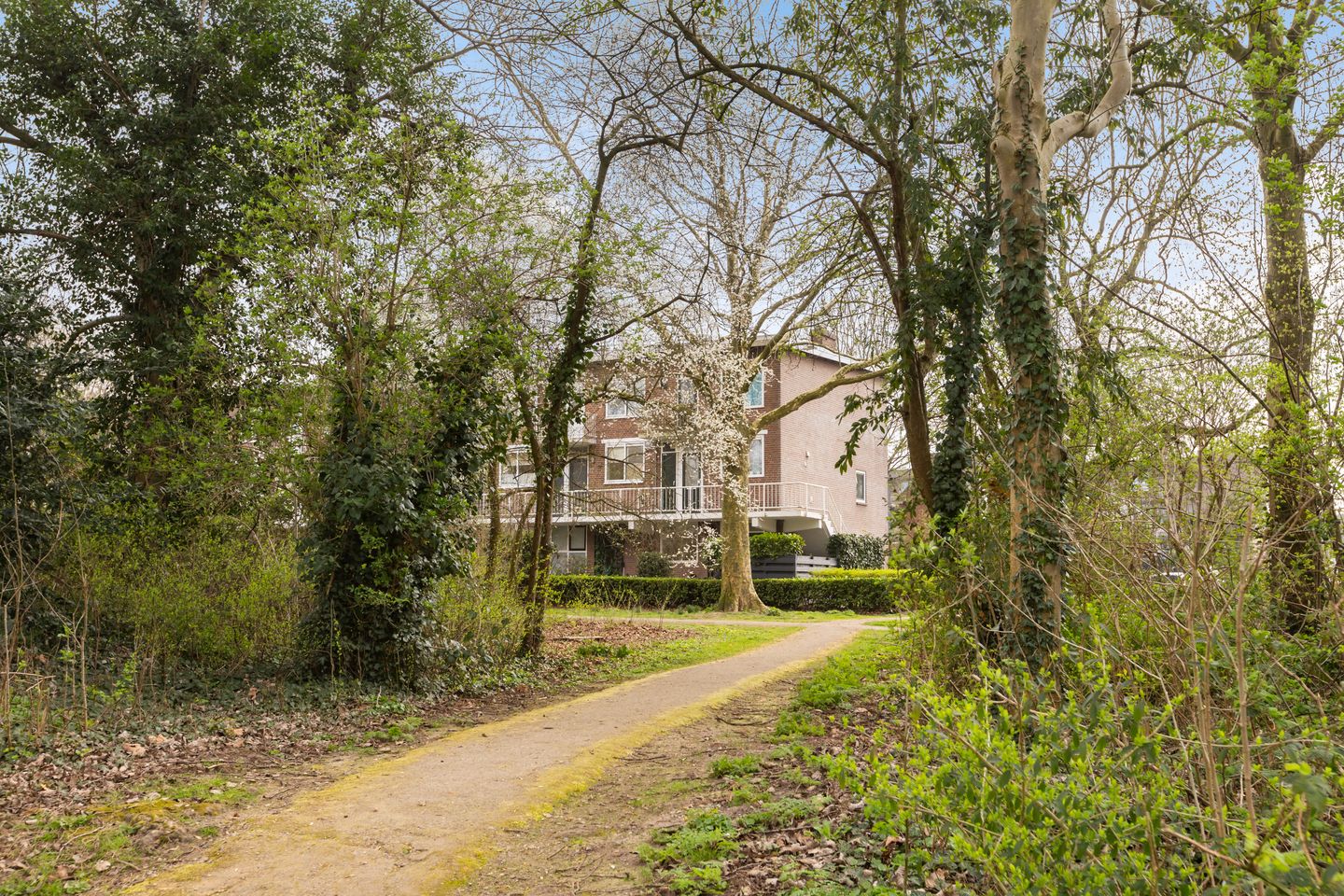 Foto 50 van Pasqualinilaan 22