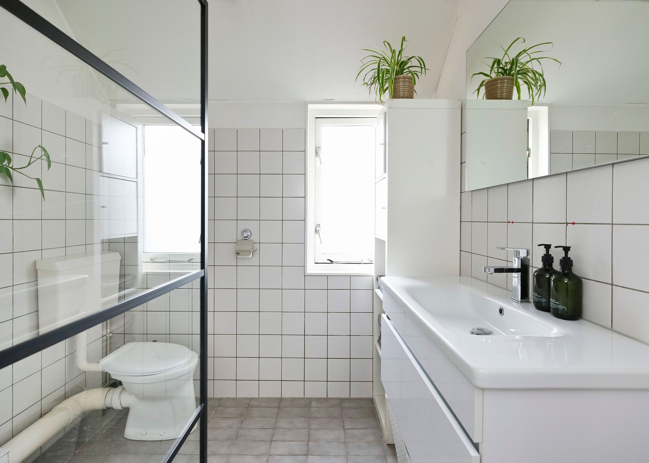 Foto 21 van Andeskondor 18