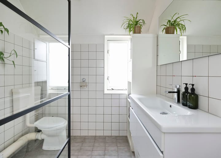 Foto 21 van Andeskondor 18