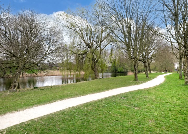 Foto 31 van Andeskondor 18