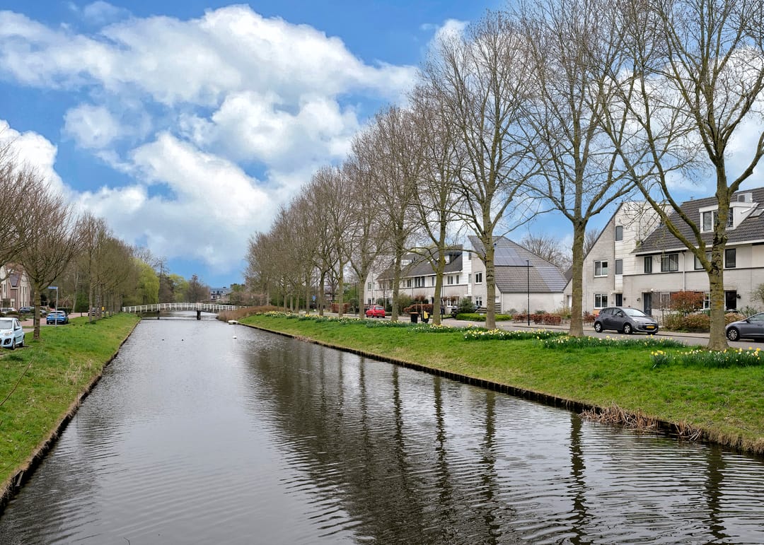 Foto 32 van Andeskondor 18