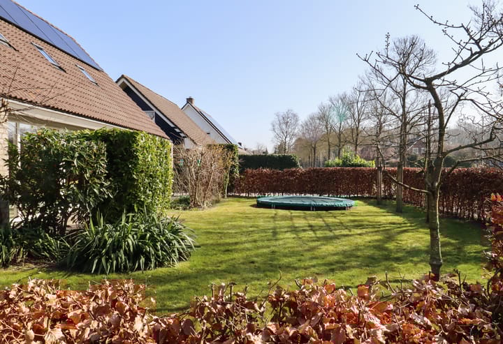 Foto 20 van Dr. E. Wassenberghstrjitte 36