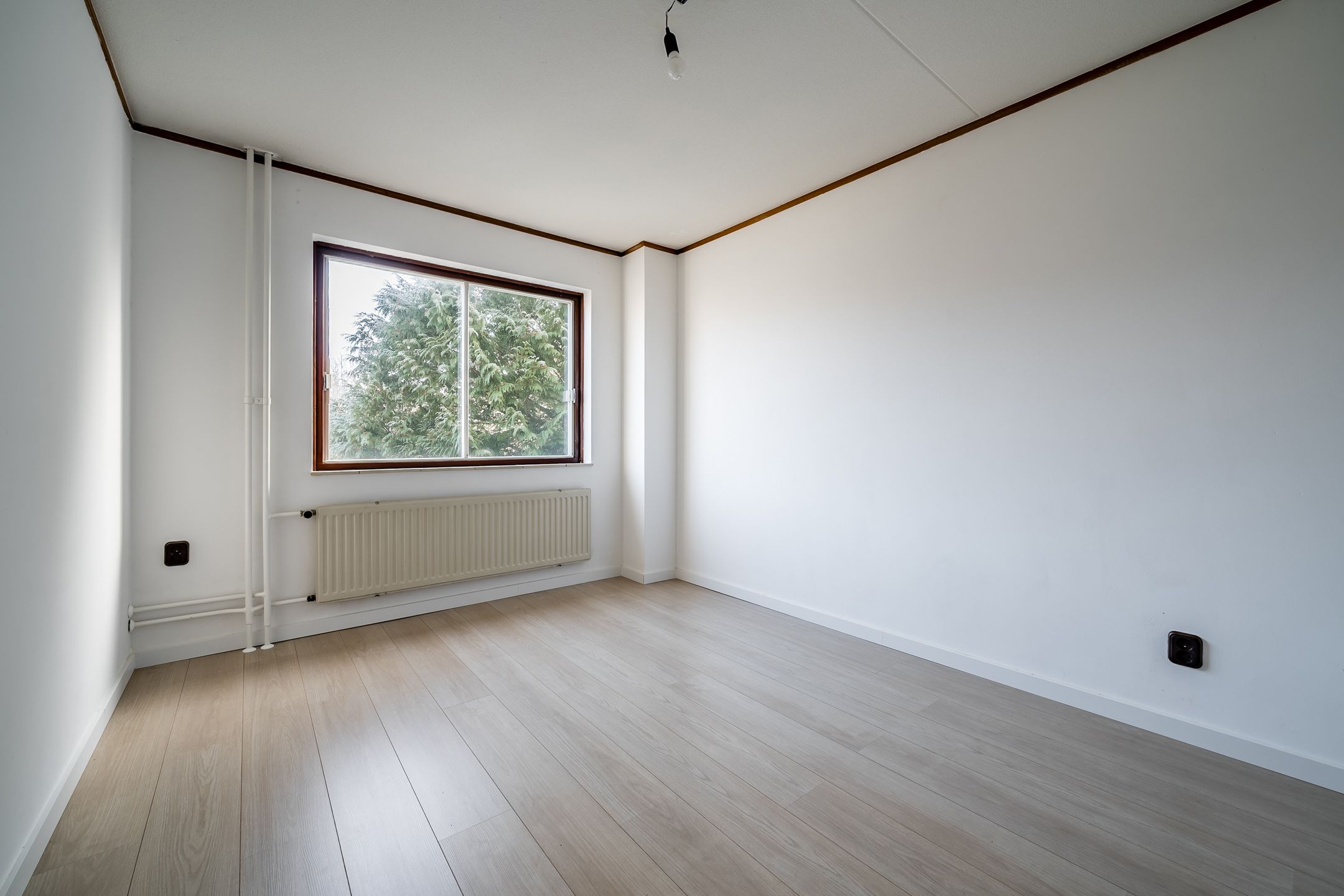 Photo 27 of Kruiszwin 5615