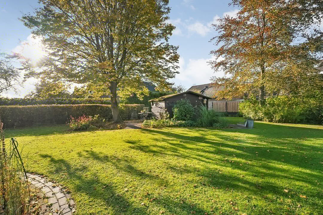 Foto 2 van Meeuwenweg