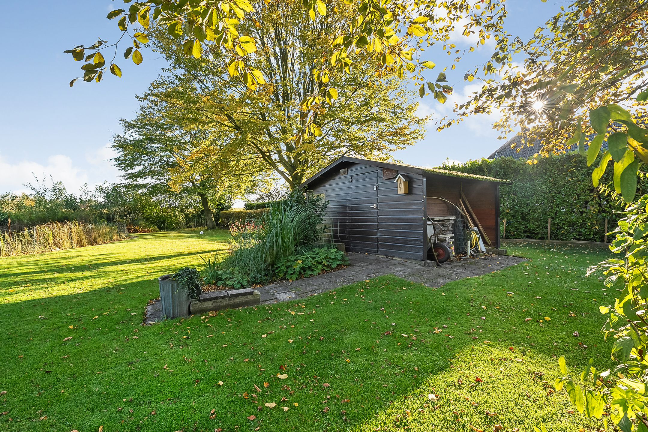 Foto 3 van Meeuwenweg