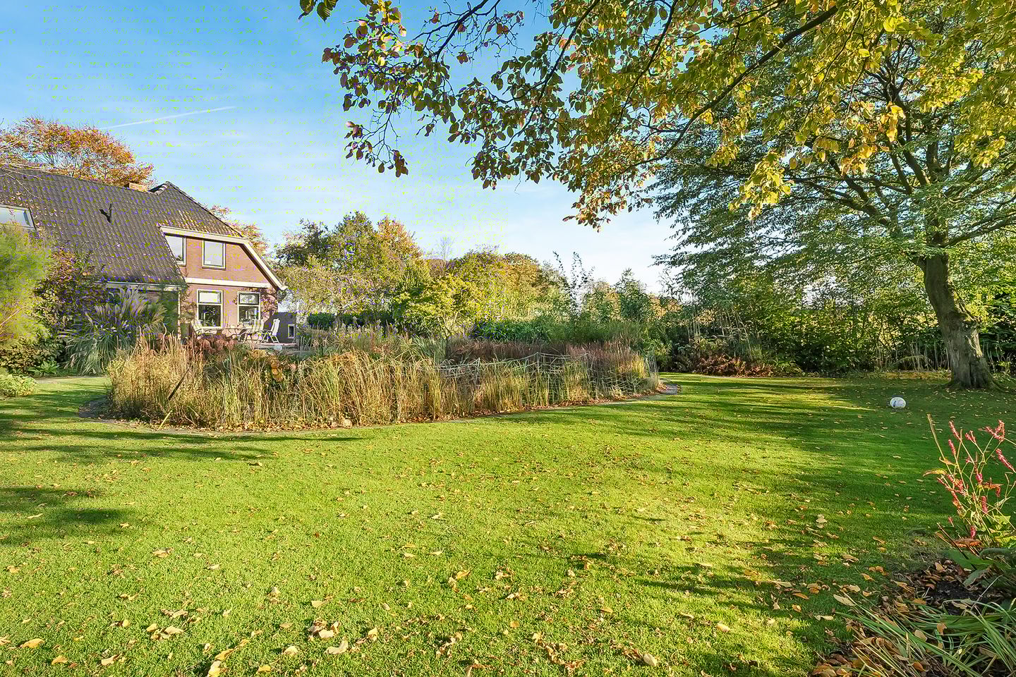 Foto 4 van Meeuwenweg