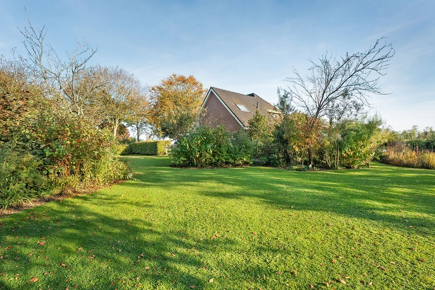 Foto 5 van Meeuwenweg