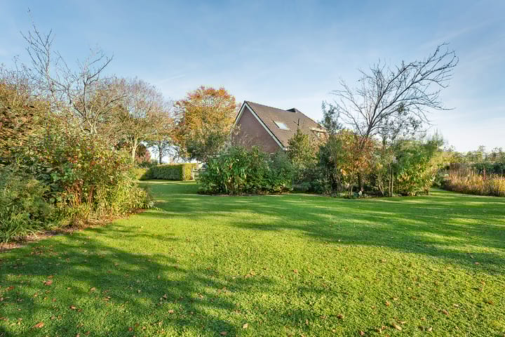 Foto 5 van Meeuwenweg