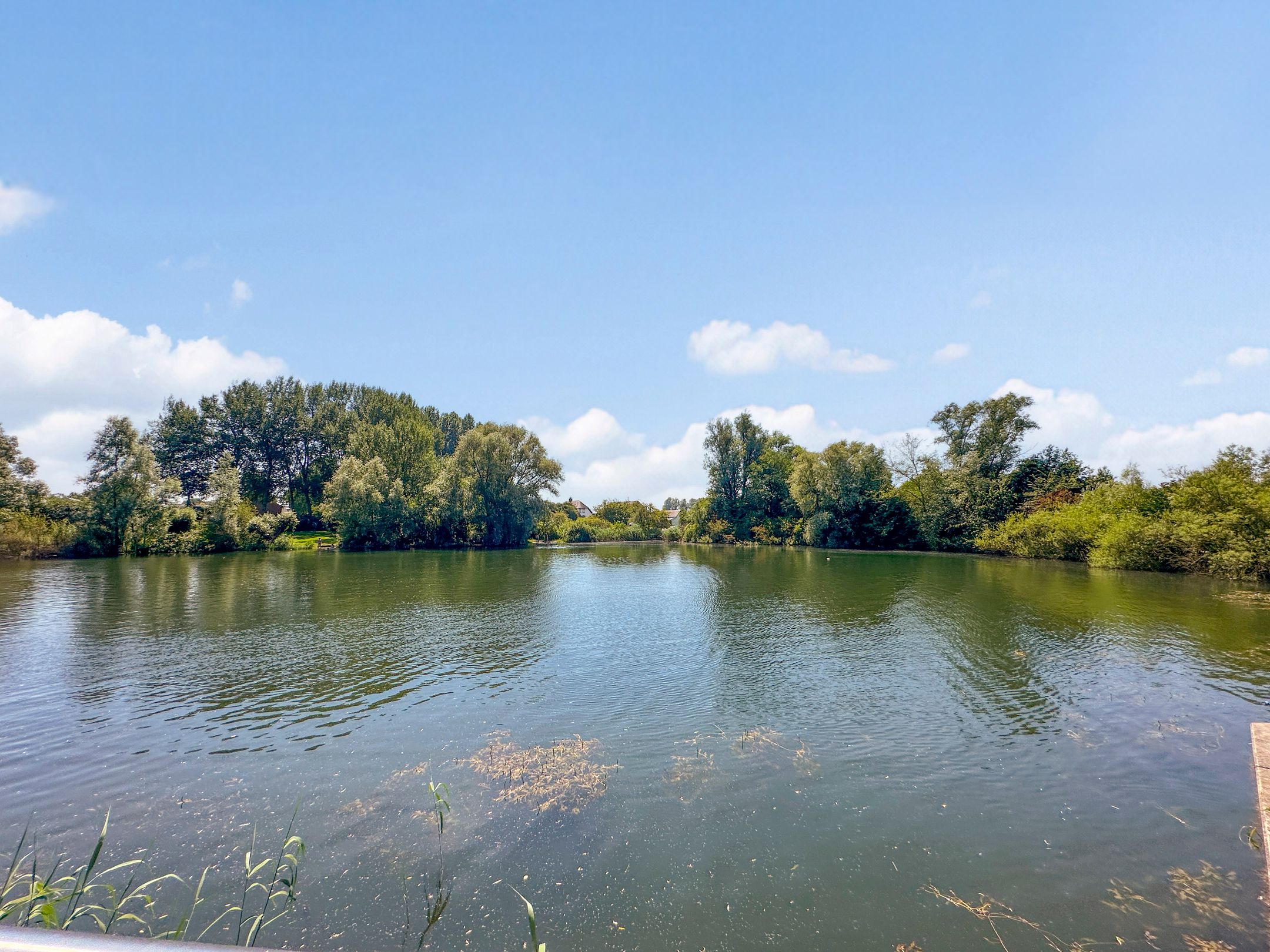 Foto 45 van Van der Hoevensstraat 60