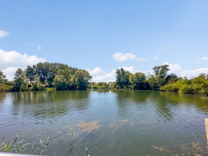 Foto 45 van Van der Hoevensstraat 60