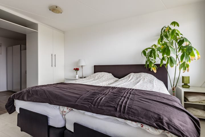 Foto 18 van Stella Agsteribbeland 67