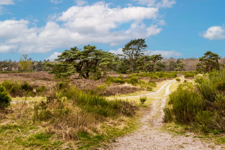 Foto 30 van Nieuwe Bussummerweg 134