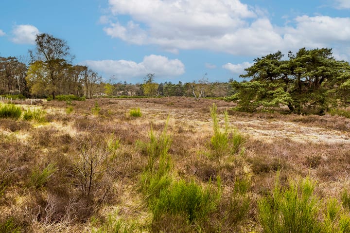 Foto 31 van Nieuwe Bussummerweg 134