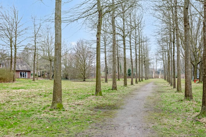 Foto 52 van Braamkamp 25