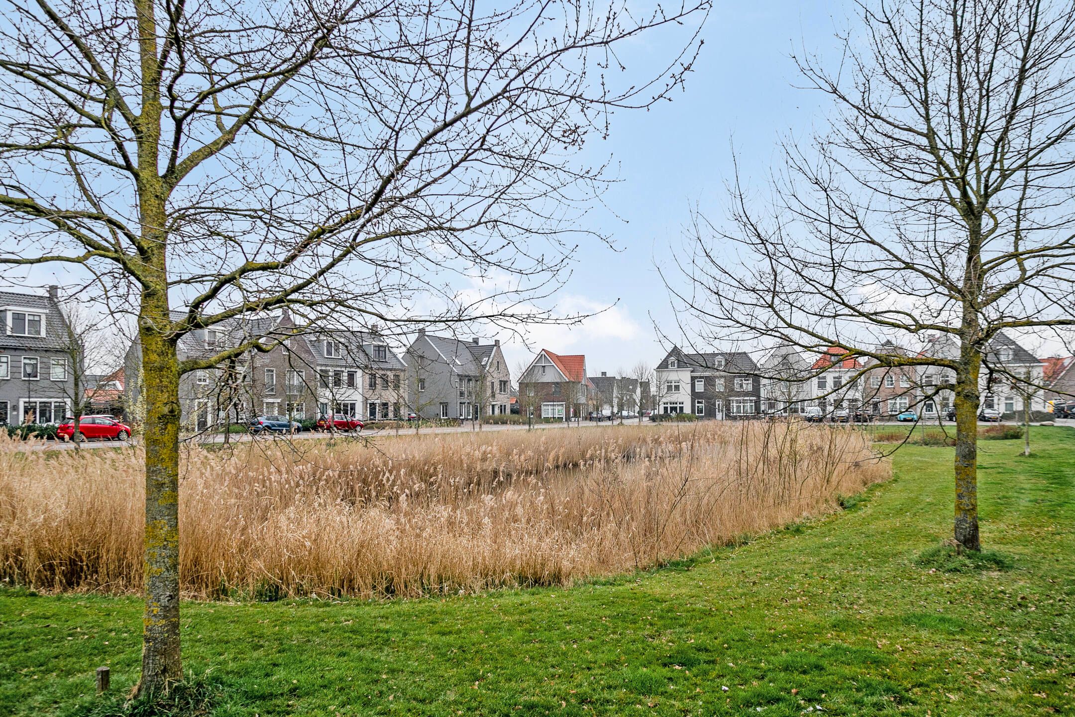 Foto 48 van Cellostraat 10