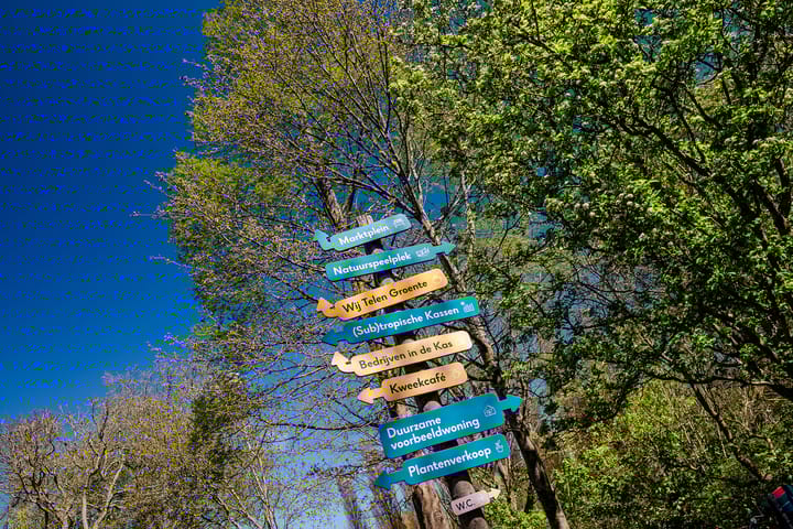 Foto 55 van Olmenstraat 64