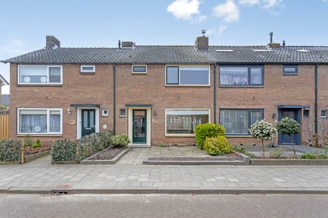 undefined main image