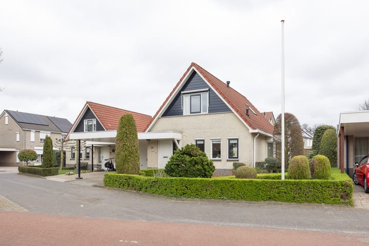 Foto 1 van Boterbloem 25